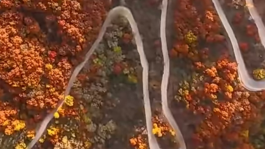 央视栏目《第一时间》播出太行大峡谷漫山红叶景观