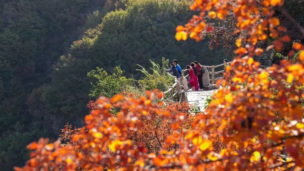 观秋景、品秋味，多彩太行给你满目的秋日惊喜！