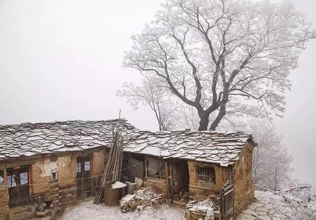 下雪了，太行大峡谷开启“2020年冬季雪景模式”，快来这幅水墨画里走一走！