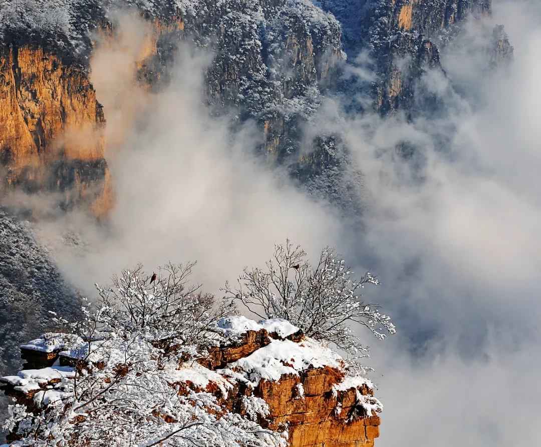 下雪了，太行大峡谷开启“2020年冬季雪景模式”，快来这幅水墨画里走一走！